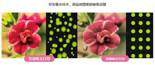  午夜福利免费在线观看数码