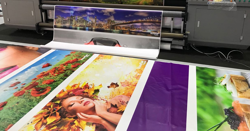 午夜视频网站在线观看效果图