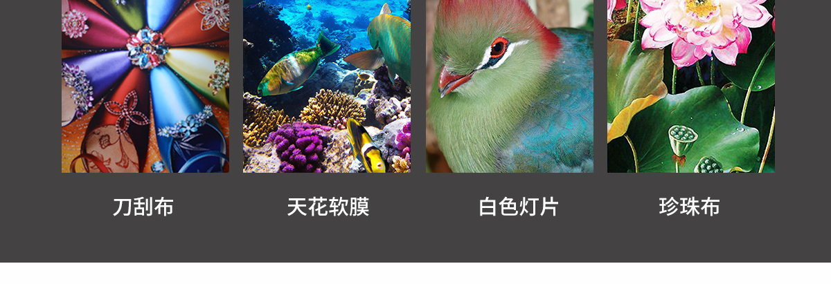 ht1600午夜视频网站在线观看