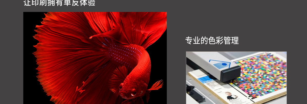 ht1600午夜视频网站在线观看