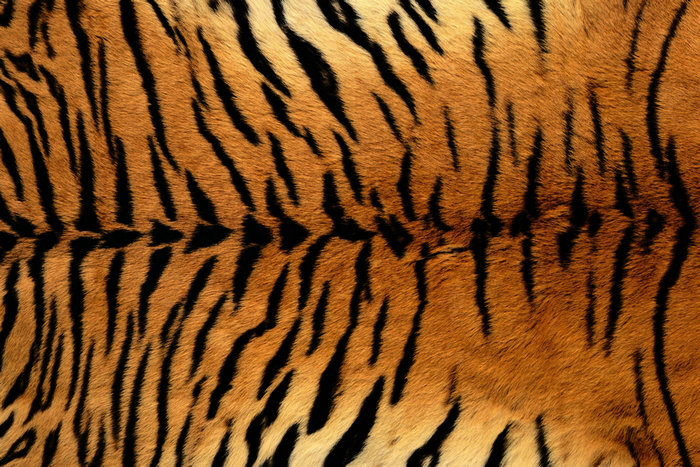 午夜福利免费在线观看UV打印机打印案例